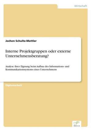 Interne Projektgruppen oder externe Unternehmensberatung? de Jochen Schulte-Mattler