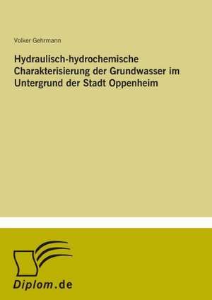 Hydraulisch-hydrochemische Charakterisierung der Grundwasser im Untergrund der Stadt Oppenheim de Volker Gehrmann