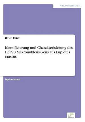 Identifizierung und Charakterisierung des HSP70 Makronukleus-Gens aus Euplotes crassus de Ulrich Reidt