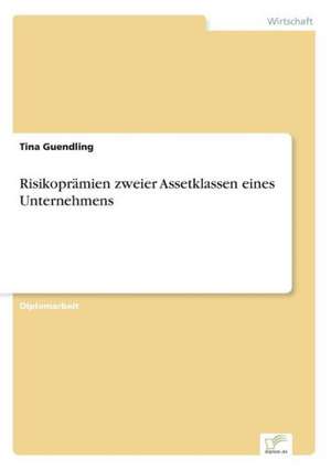 Risikopramien Zweier Assetklassen Eines Unternehmens: Messung Des E-Business-Erfolges de Tina Guendling