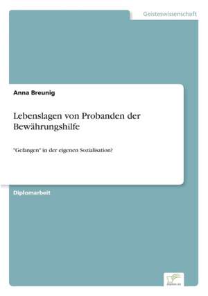 Lebenslagen Von Probanden Der Bewahrungshilfe: Optionspreistheorie Zur Bewertung Von Investitionen Mit Einem Beispiel Aus Der Softwareentwicklung de Anna Breunig