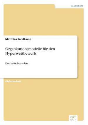 Organisationsmodelle Fur Den Hyperwettbewerb: Goodwill and Other Intangible Assets de Matthias Sandkamp