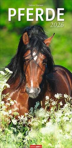 Pferde Kalender 2026 de Sabine Stuewer