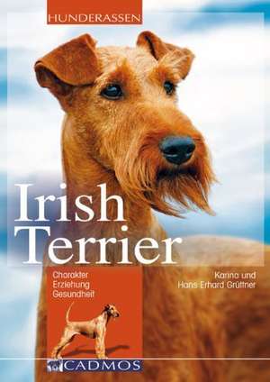 Irish Terrier de Hans Erhard Grüttner