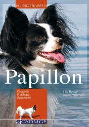 Papillon de Inka Burow