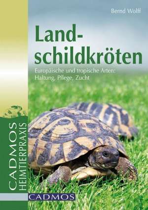 Landschildkröten de Bernd Wolff