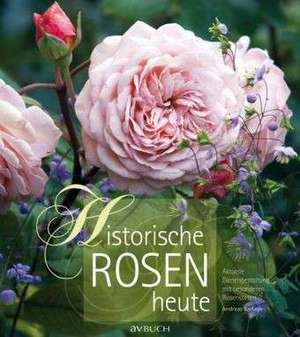 Barlage, A: Historische Rosen heute