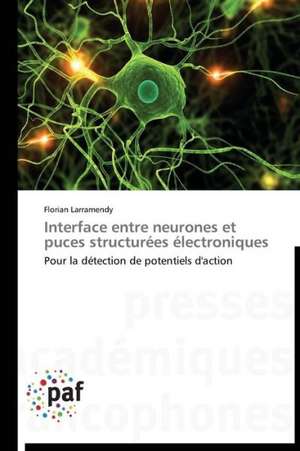 Interface entre neurones et puces structurées électroniques de Florian Larramendy