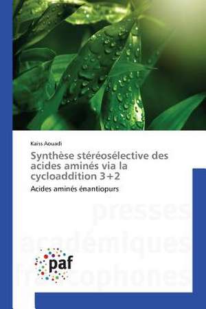 Synthèse stéréosélective des acides aminés via la cycloaddition 3+2 de Kaïss Aouadi