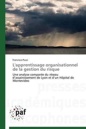 L'apprentissage organisationnel de la gestion du risque de Francisco Pucci