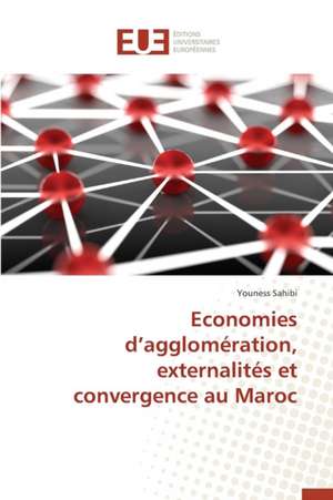 Economies D'Agglomeration, Externalites Et Convergence Au Maroc: Aspects Cliniques, Electriques Et Therapeutiques de Youness Sahibi