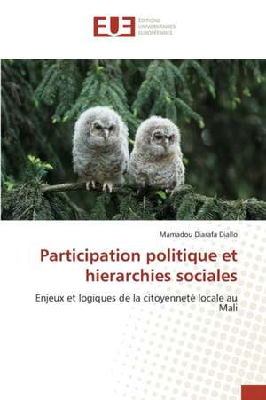 Participation Politique Et Hierarchies Sociales