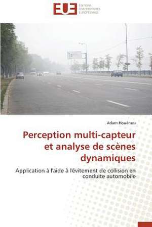 Perception Multi-Capteur Et Analyse de Scenes Dynamiques: Petrologie, Geochimie Isotopique Et Geochronologie de Adam Houénou