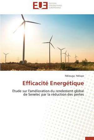 Efficacite Energetique: Tome 1 de Ndiouga Ndiaye