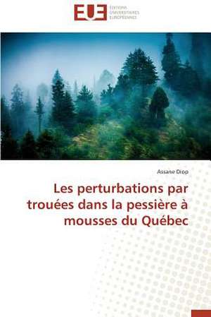 Les Perturbations Par Trouees Dans La Pessiere a Mousses Du Quebec: Des Freres Pas Comme Les Autres de Assane Diop