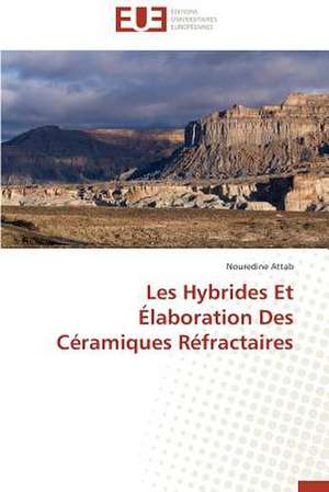 Les Hybrides Et Elaboration Des Ceramiques Refractaires