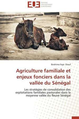 Agriculture Familiale Et Enjeux Fonciers Dans La Vallee Du Senegal: Cas de La Savonnerie Nosa de Ibrahima Faye Diouf