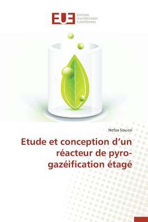 Etude Et Conception D'Un Reacteur de Pyro-Gazeification Etage: Nouvelle Approche de Nefaa Souissi