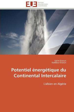 Potentiel Energetique Du Continental Intercalaire: Senegal/France de Salim Etsouri