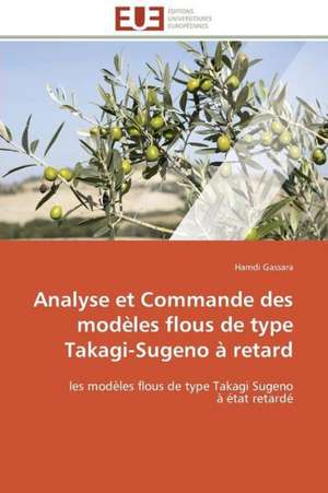 Analyse Et Commande Des Modeles Flous de Type Takagi-Sugeno a Retard: Mecanismes D'Action D'Additifs Fluores de Hamdi Gassara