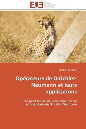 Operateurs de Dirichlet-Neumann Et Leurs Applications: Materiau D'Avenir Pour La Pile Sofc? de Ibrahim Baydoun