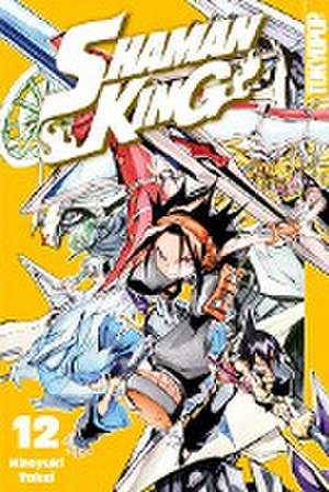 Shaman King 12 de Hiroyuki Takei