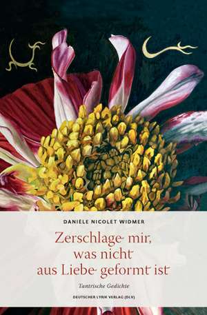 Zerschlage mir, was nicht aus Liebe geformt ist de Daniele Nicolet Widmer