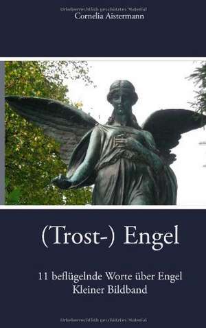 (Trost-) Engel de Cornelia Aistermann