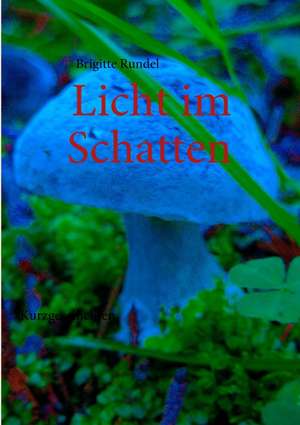 Licht im Schatten de Brigitte Rundel