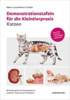 Demonstrationstafeln für die Kleintierpraxis Katzen de María Luisa Palmero Colado