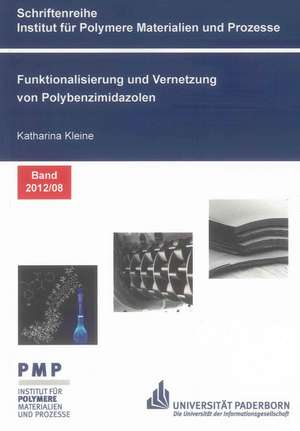 Funktionalisierung und Vernetzung von Polybenzimidazolen de Katharina Kleine