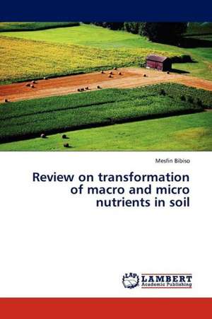 Review on transformation of macro and micro nutrients in soil de Bibiso Mesfin