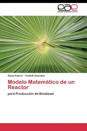 Modelo Matemático de un Reactor de Diana Padrón