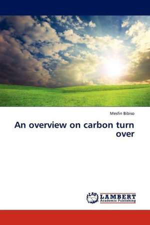 An overview on carbon turn over de Bibiso Mesfin