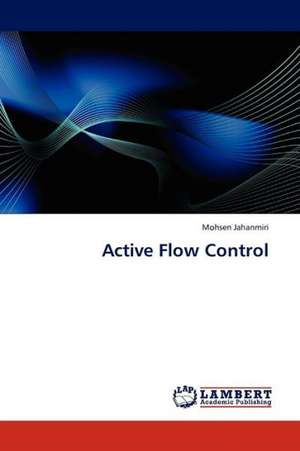 Active Flow Control de Jahanmiri Mohsen