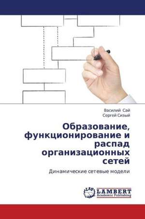 Obrazovanie, funktsionirovanie i raspad organizatsionnykh setey de Say Vasiliy