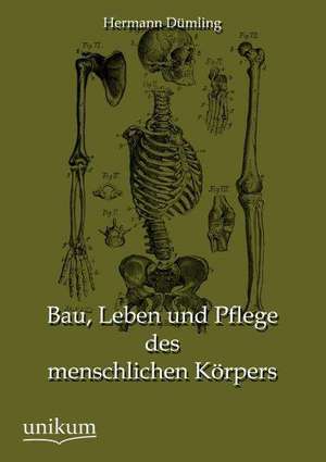 Bau, Leben und Pflege des menschlichen Körpers de Hermann Dümling