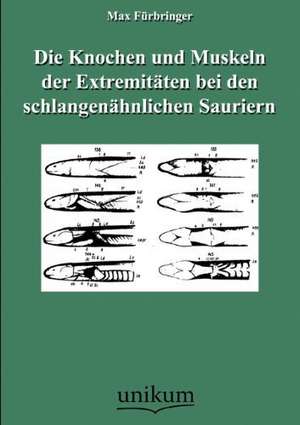 Die Knochen und Muskeln der Extremitäten bei den schlangenähnlichen Sauriern de Max Fürbringer