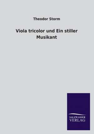 Viola Tricolor Und Ein Stiller Musikant: La Nueva Cultura del Reciclaje de Theodor Storm