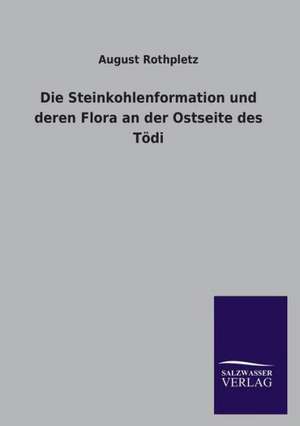 Die Steinkohlenformation Und Deren Flora an Der Ostseite Des Todi: Magdeburg de August Rothpletz