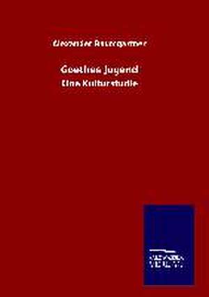 Goethes Jugend de Alexander Baumgartner