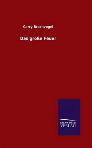 Das Grosse Feuer: Die Bruder Vom Deutschen Hause / Marcus Konig de Carry Brachvogel