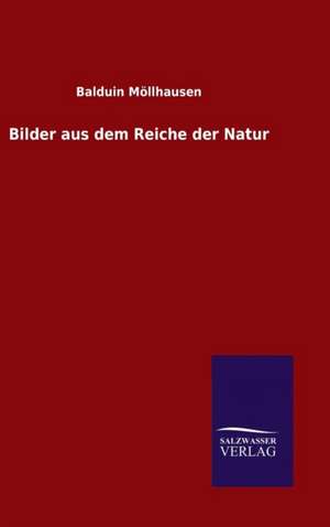 Bilder Aus Dem Reiche Der Natur: Die Bruder Vom Deutschen Hause / Marcus Konig de Balduin Möllhausen