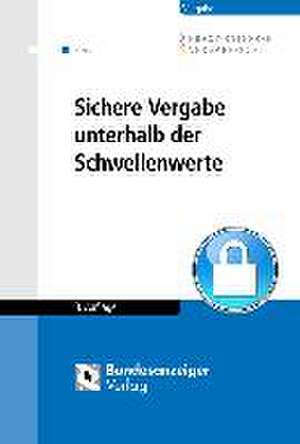 Sichere Vergabe unterhalb der Schwellenwerte de Christopher Zeiss