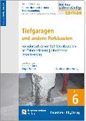 Baurechtliche und -technische Themensammlung - Heft 6: Tiefgaragen und andere Parkbauten de Benjamin Gartz