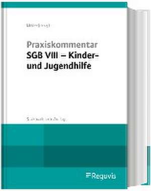 Praxiskommentar SGB VIII - Kinder- und Jugendhilfe de Winfried Möller