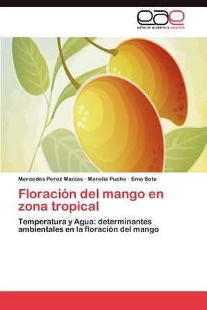 Floracion del Mango En Zona Tropical