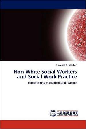 Non-White Social Workers and Social Work Practice de See-Toh Florence Y.