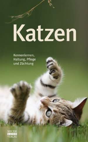 Katzen