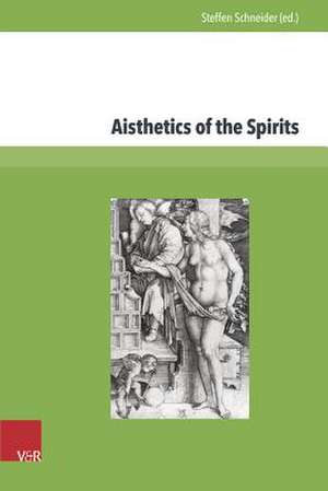 Aisthetics of the Spirits de Steffen Schneider